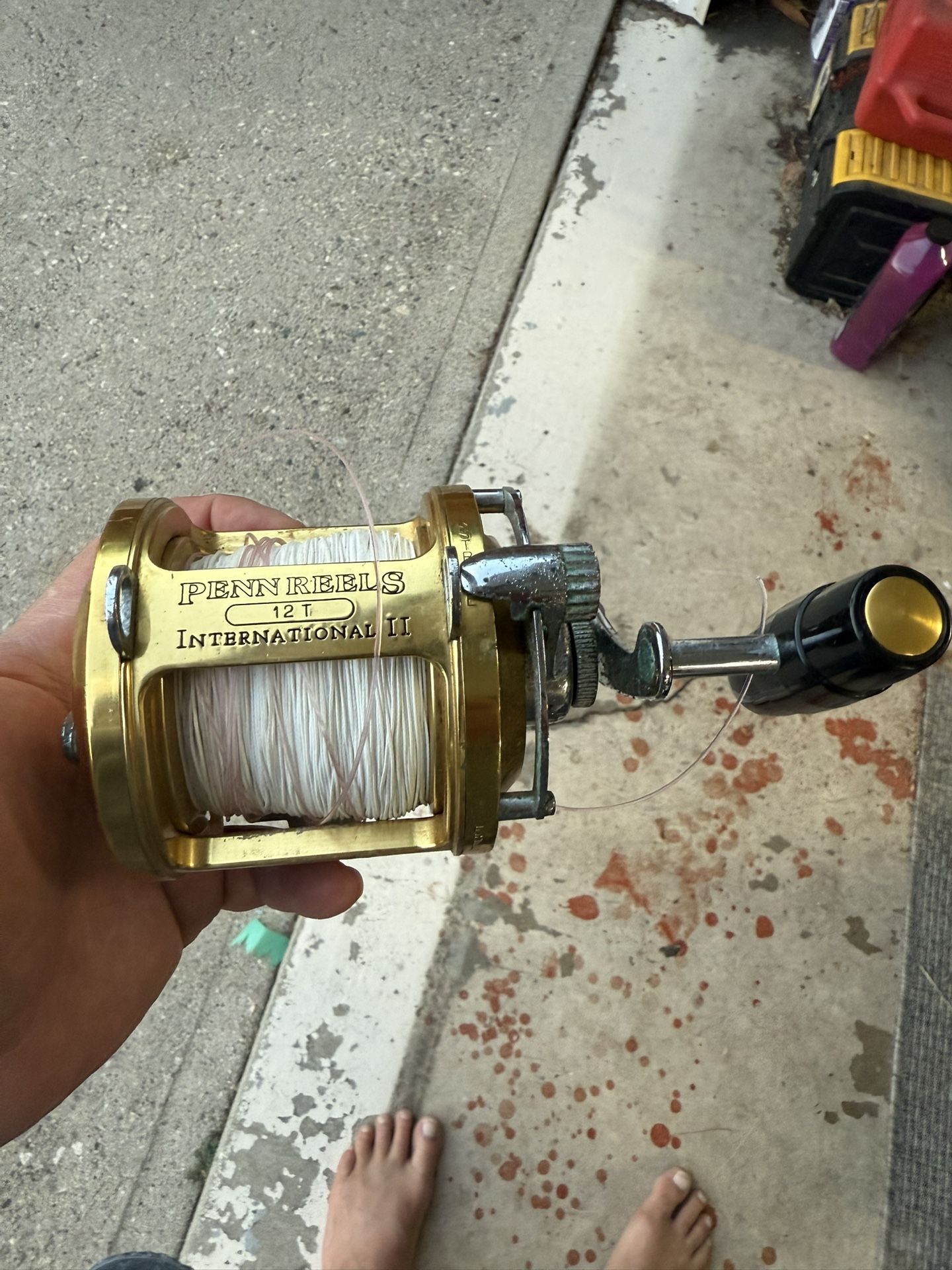 Fishing Reel Penn International 2 12 T