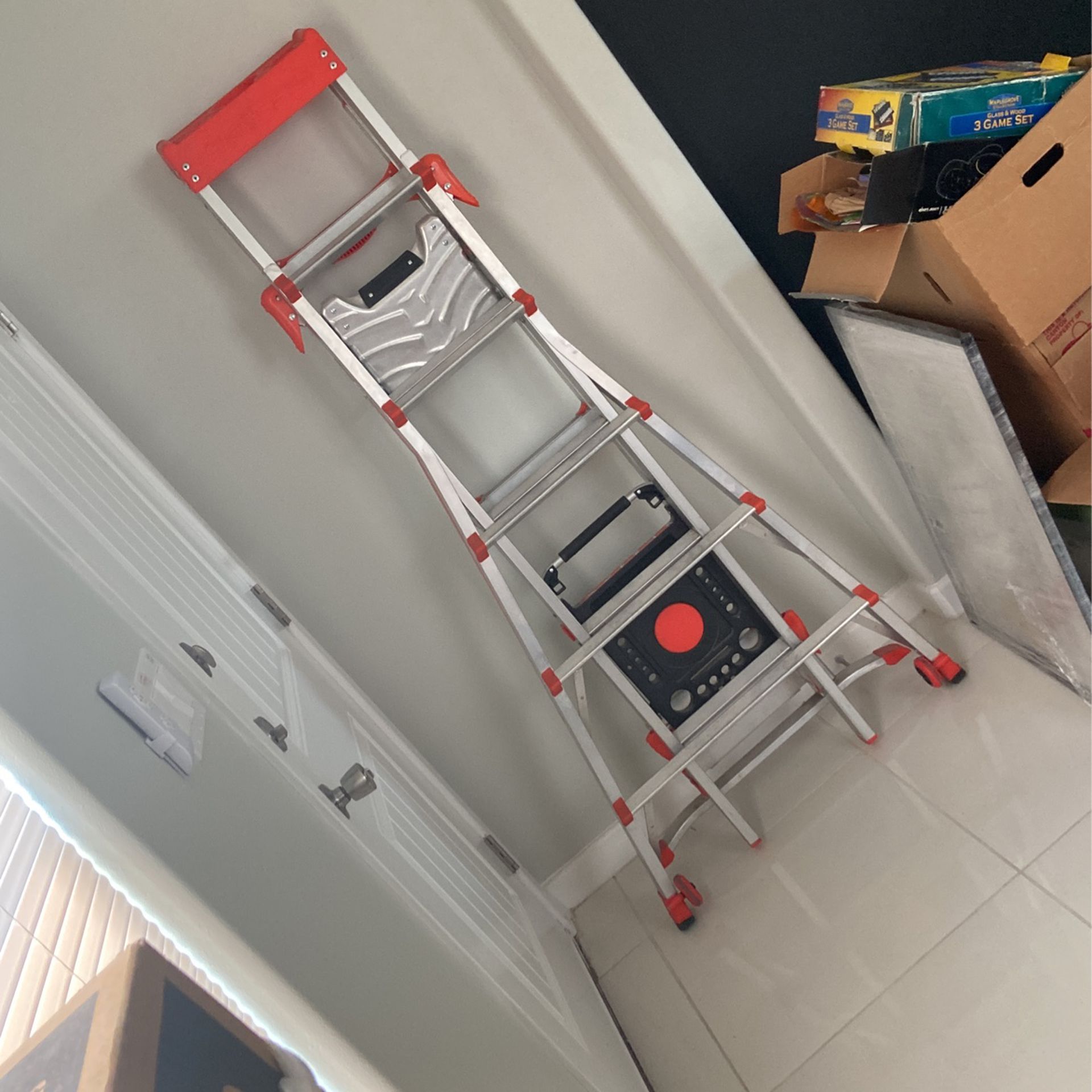 Little Giant Ladder 