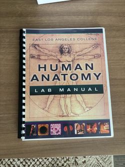 Human Anatomy Lab Manual – East Los Angeles College