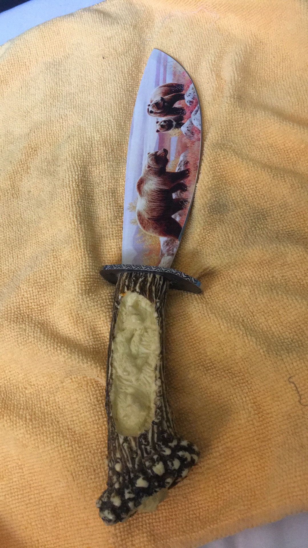 Collectible Deer Antler