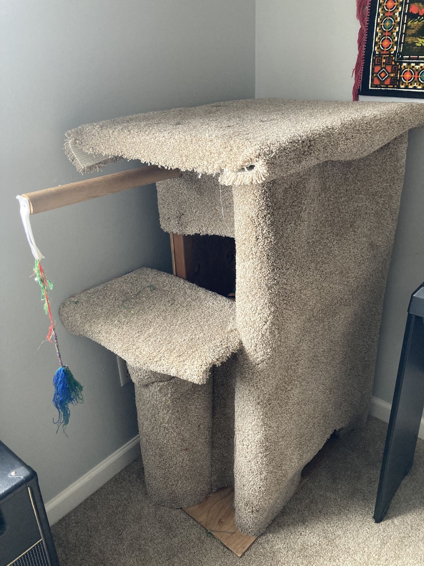 Cat Condo