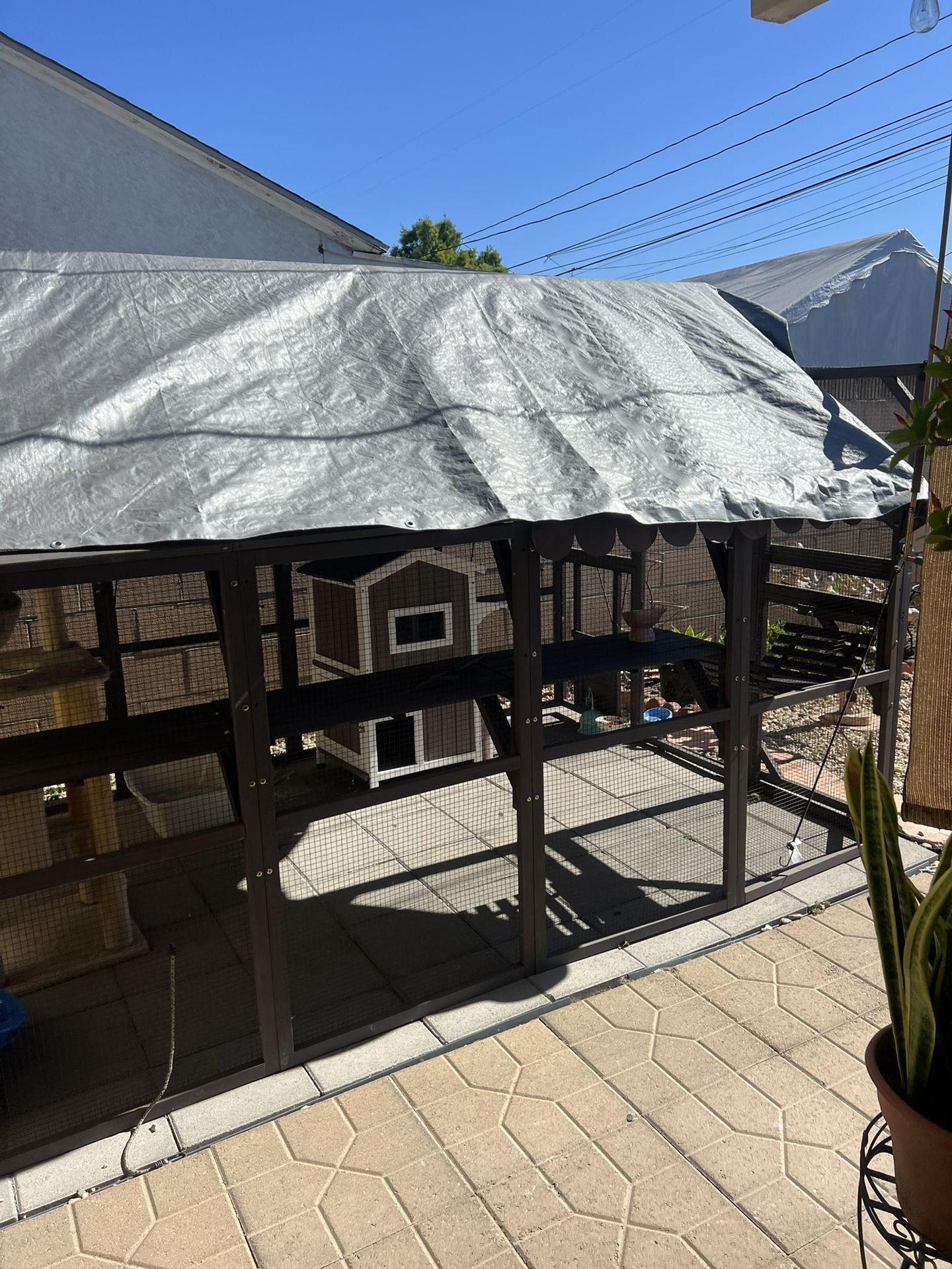 Cat patio, Cat Tree, Cat House