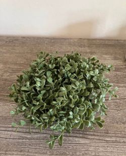 9 Artificial Green Plastic Topiary Ball Houseplant, 5 in x 5 in (Plants Theme)