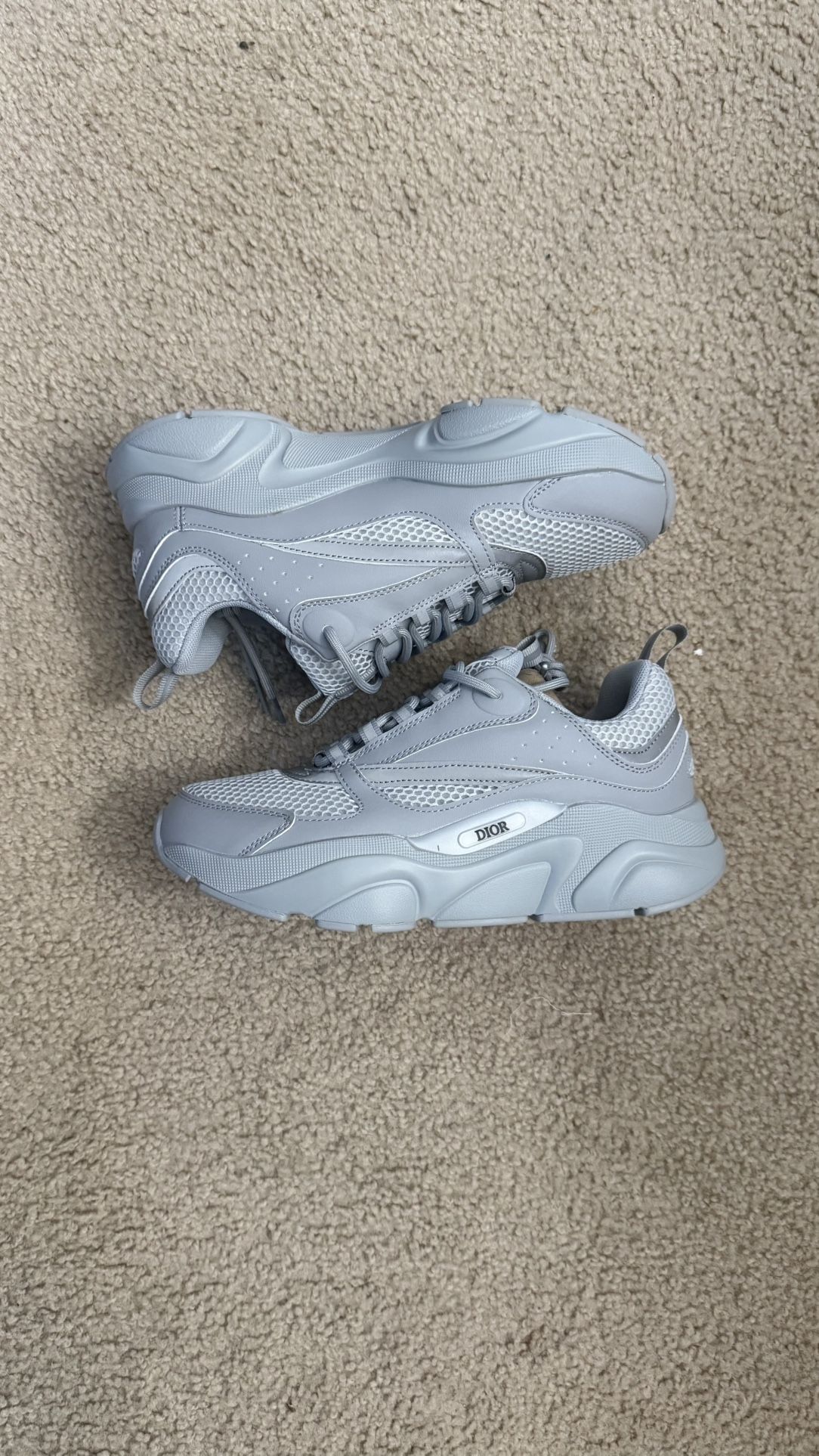 Dior B22 Grey 