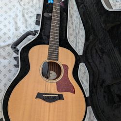 Taylor Gs Mini