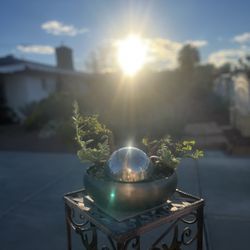  Vegas Succulent By Design