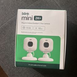 Blink Mini 2k+