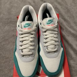 Air Max 1 Watermelon Rare Pair
