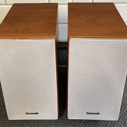 Panasonic SB-PM19 Speakers 