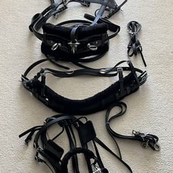 Pony Harness