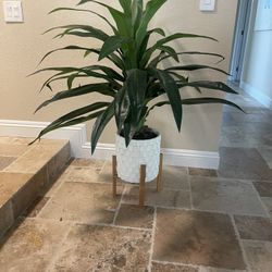 4’ Faux Agave Plant With Ceramic Pot And Wooden Base