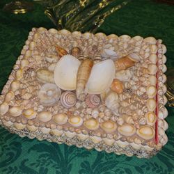 JEWELRY SEA SHELL CUSTOM MADE BOX w/ Red Liner