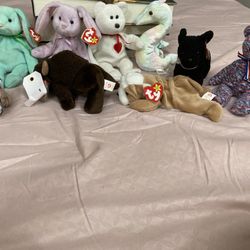Beanie Babies