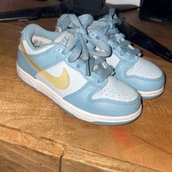 Nike Dunk baby blue clear 