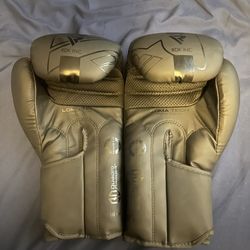 Rdx Boxing Gloves