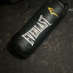 Everlast Heavy Bag. 