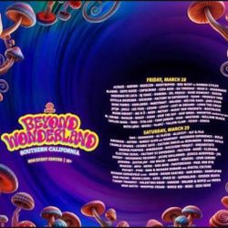 Beyond Wonderland SoCal (18+)