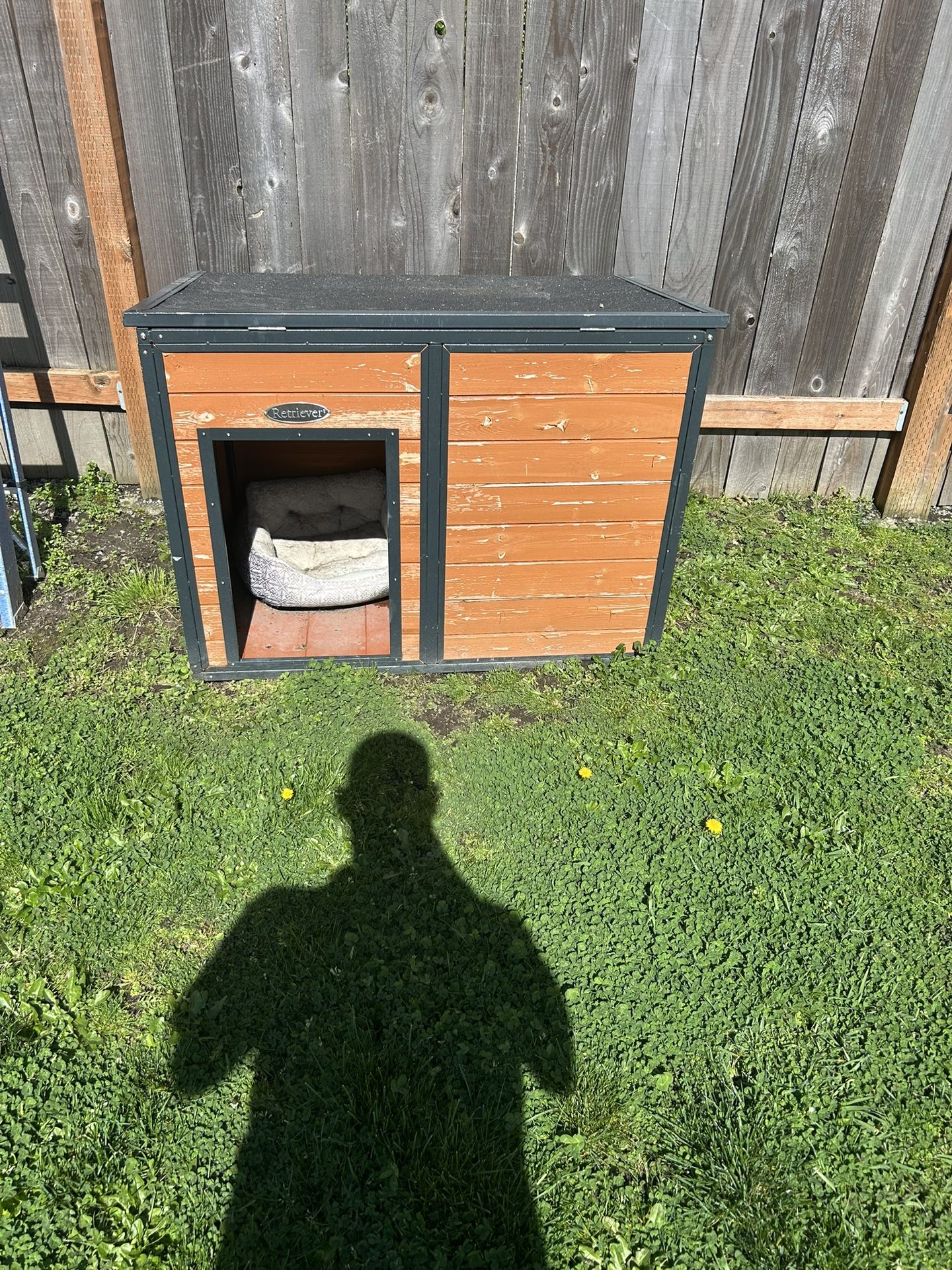 Dog House