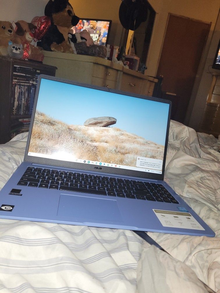 Brand New Chromebook.