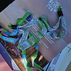 BAJA BEACH FEST 2025 VIP TICKETS