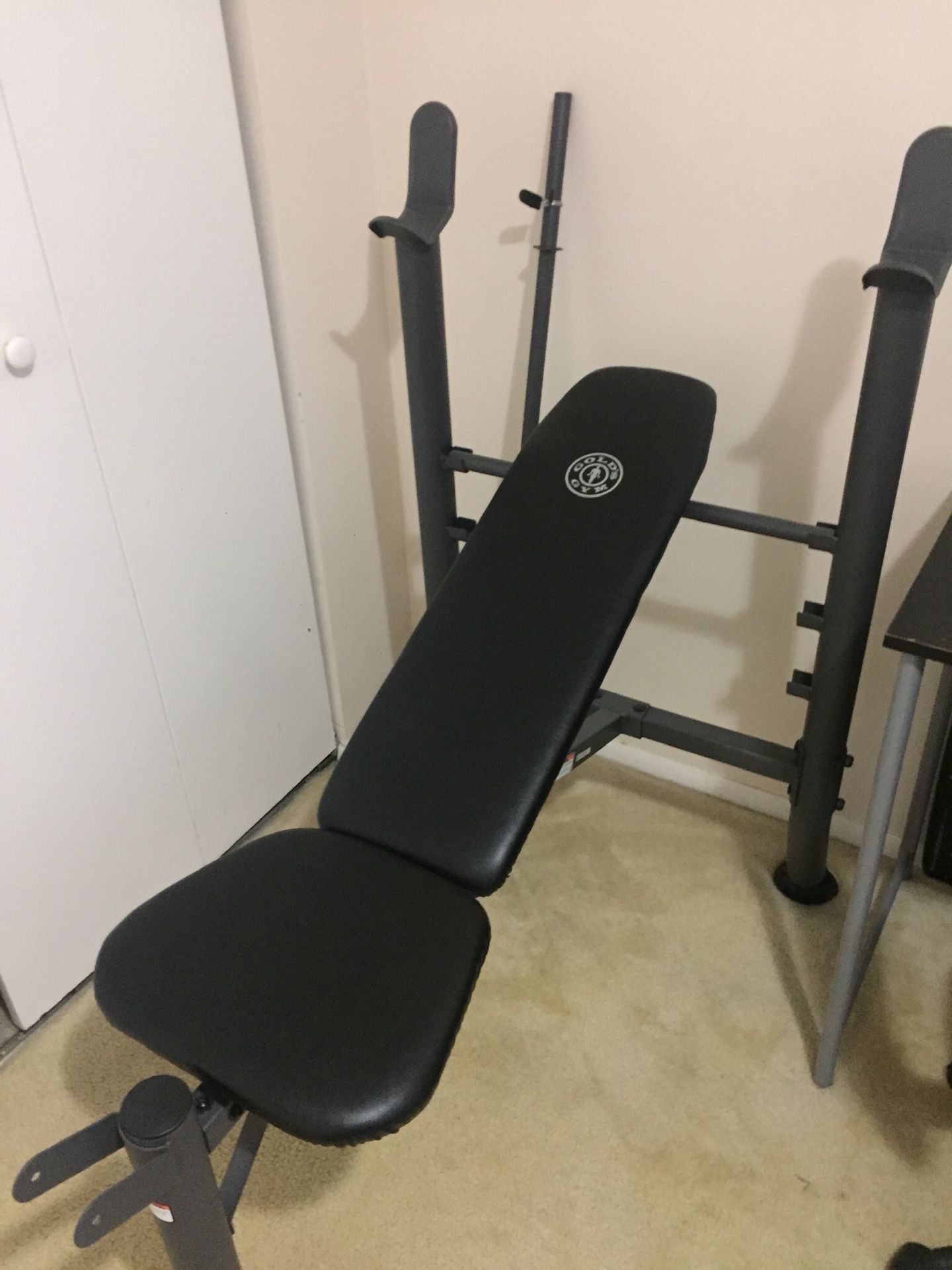 Gold’s Gym 100 lb set Bench Press