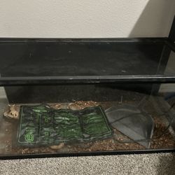 Reptile Tank