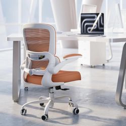 Ergonomic Office Chair 