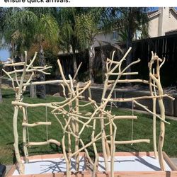 Brand New Exotic dad Custom Made Bird Stand 