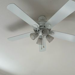 Ceiling Fan
