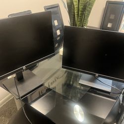 HP Computer Screen Game Screen 