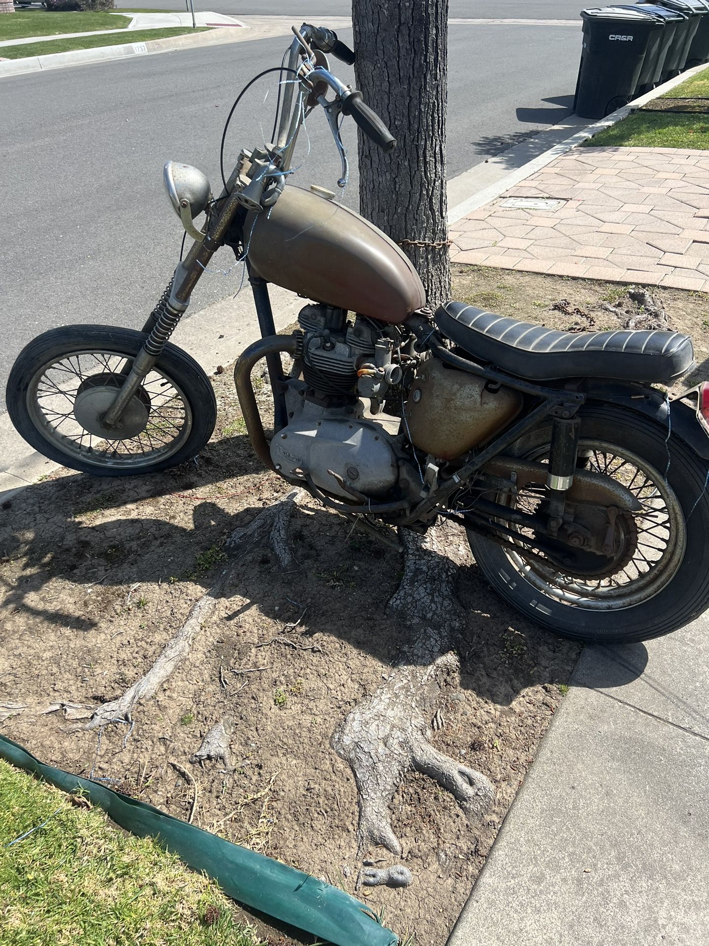 1965 Triumph Bonneville