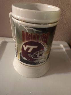 Virginia tech Stein