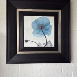 Paint Frame Abstract 