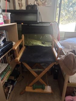 Director chair
