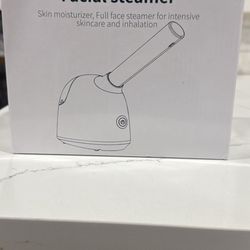 Face Steamer 
