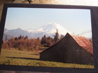 (8x12)Nature Pictures Of The Pacific Northwest. “Last Pictures In Frames Are Examples Of What You Can Do at Your Home”