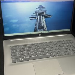 HP 17.3-inch budget-friendly, home/business laptop