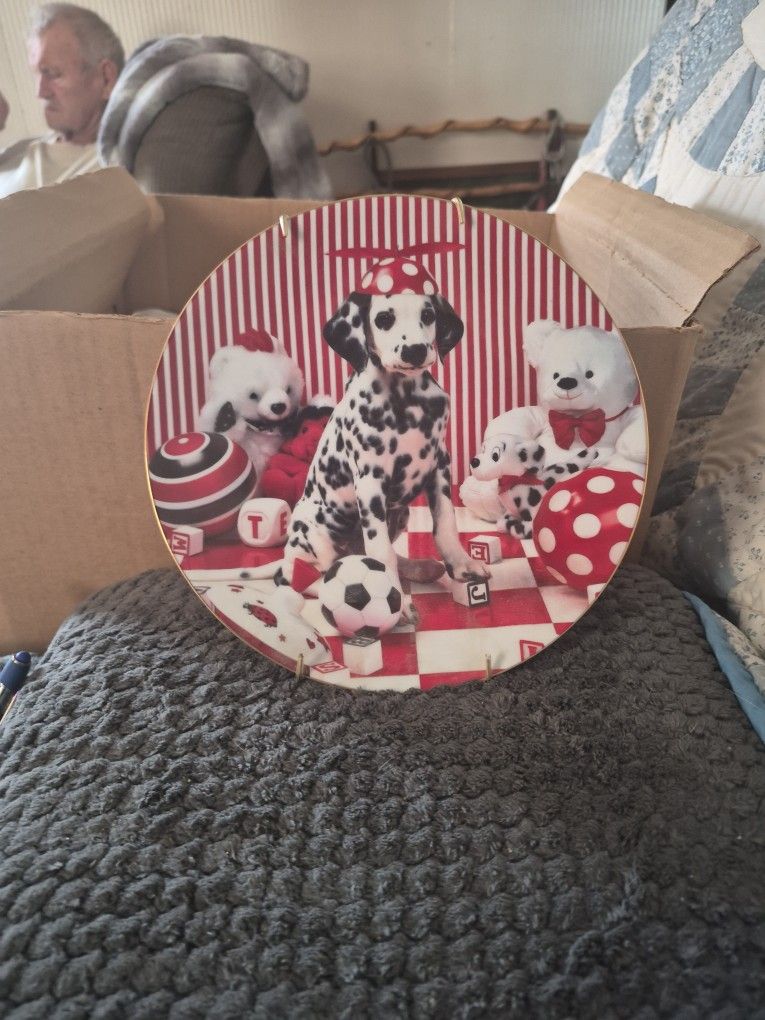 This Is A Collection Plate. On The Back Said Spot At Play. The Year Way 1996.