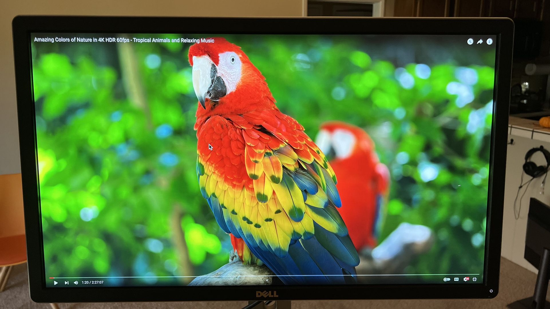 DELL P2715Q 27" Ultra HD 4K IPS LED Monitor with Stand