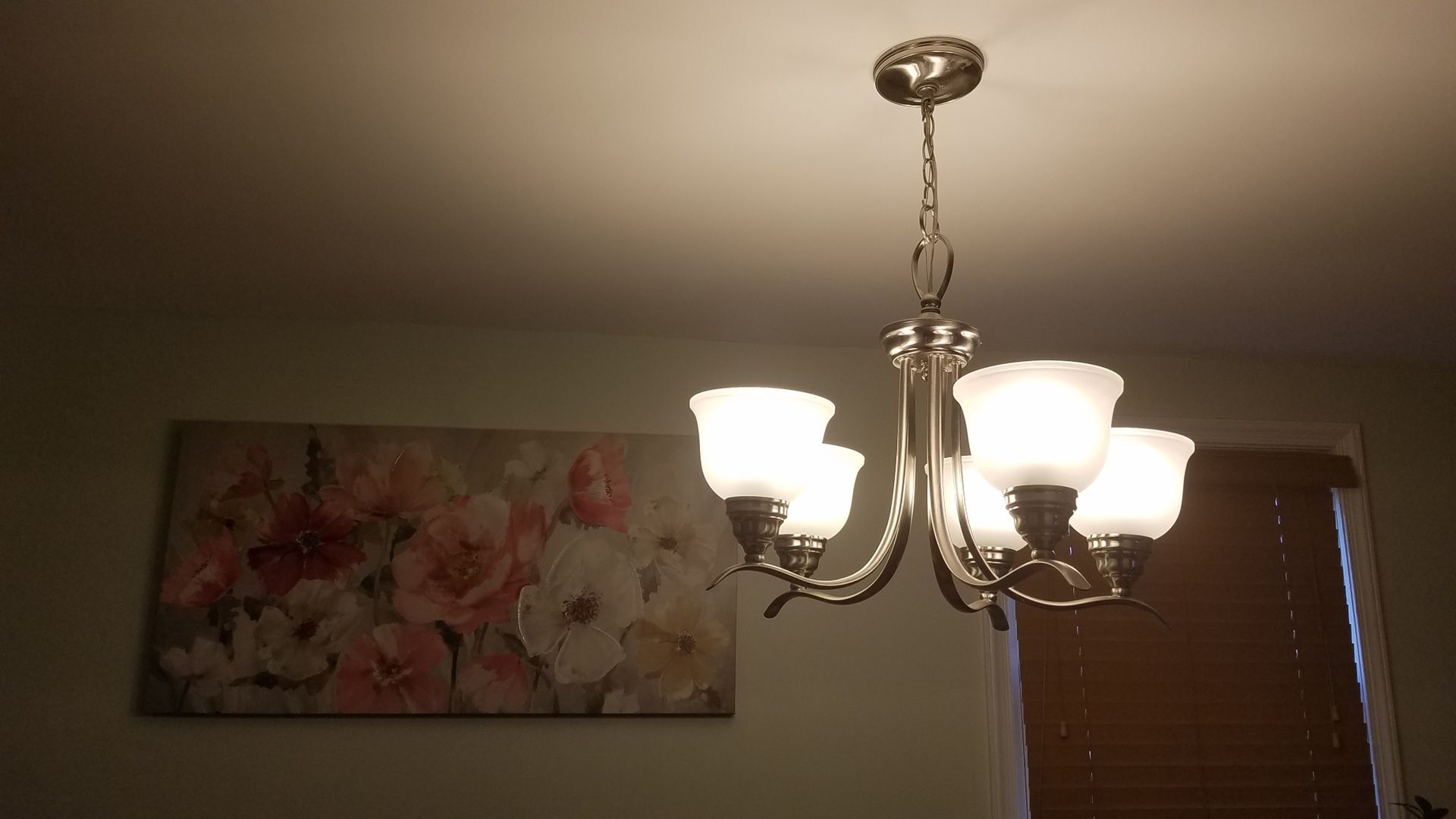 Ceiling Light Fixture