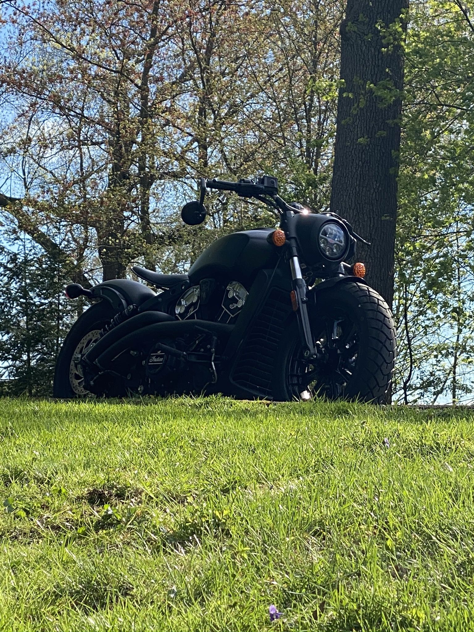 19 Indian Scout bobber