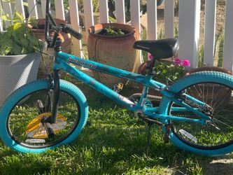 Bike 20”
