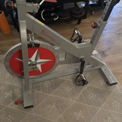 Sunny Health & Fitness Pro Indoor Exercise Bike