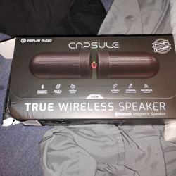 Capsule Speaker