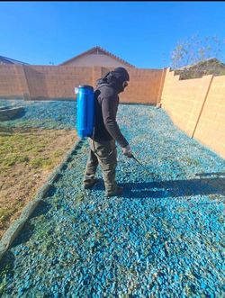 Weed Control 🌱🍂