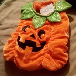 Pumpkin Dog Costume