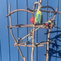 African Grey - Amazon Parrot Custom Perch Tree… Breeder Direct Wholesale Prices !