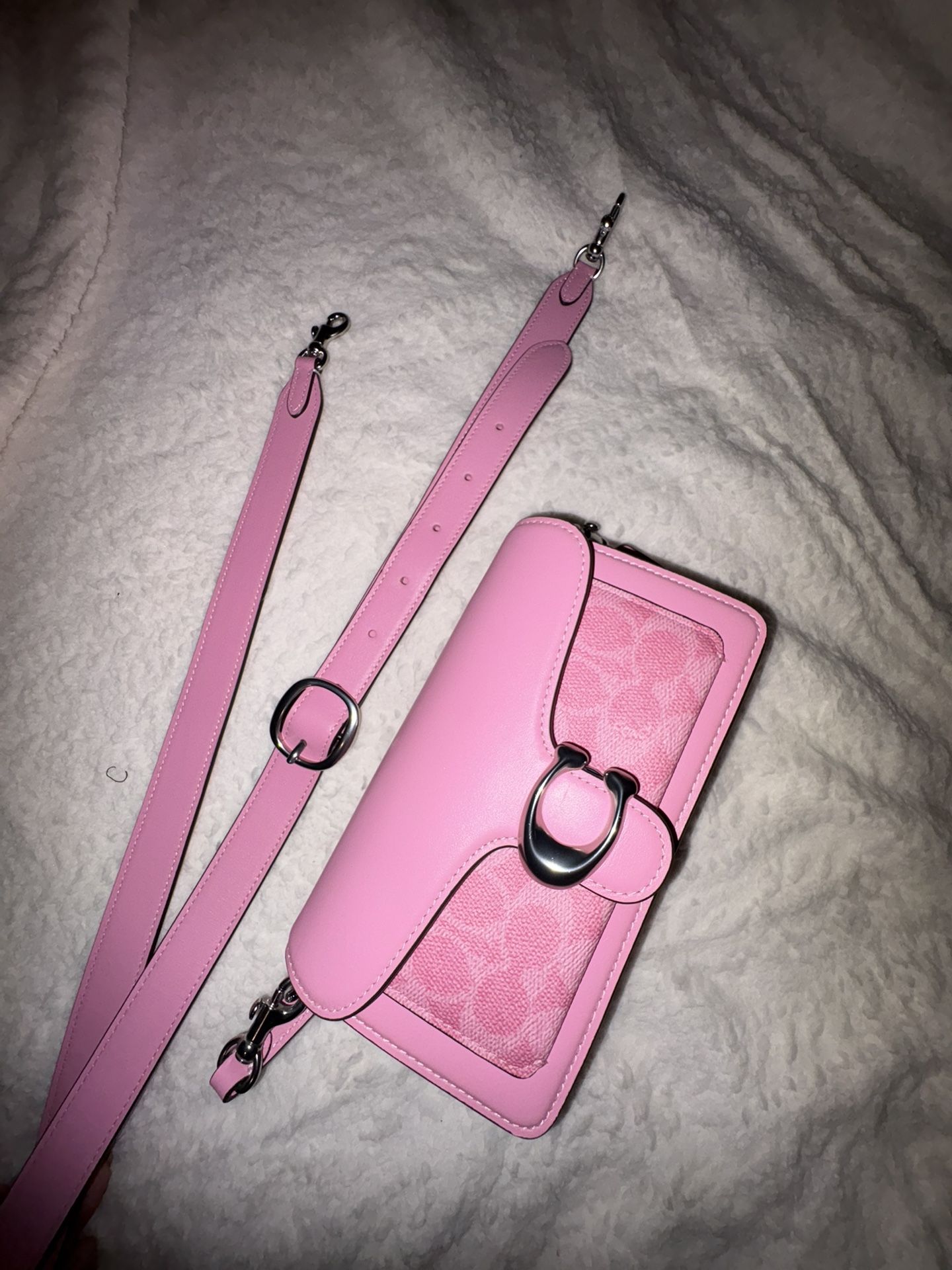 pink authentic tabby 