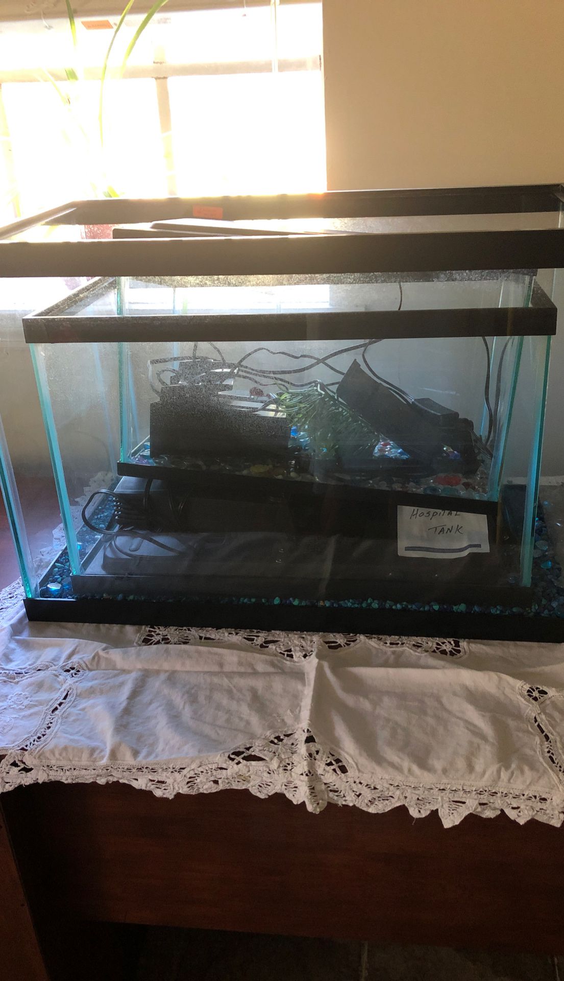 20, 10 and 5 gal fish tank and filter for 2 or them. $75 for all or will sale separate.
