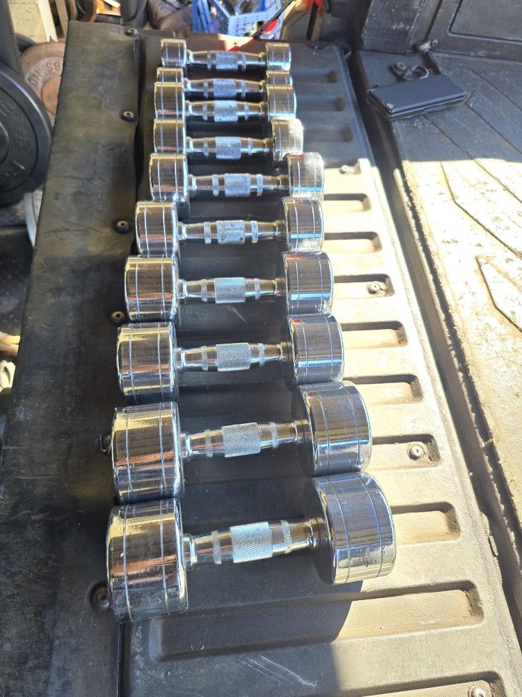 Weight Dumbbells 